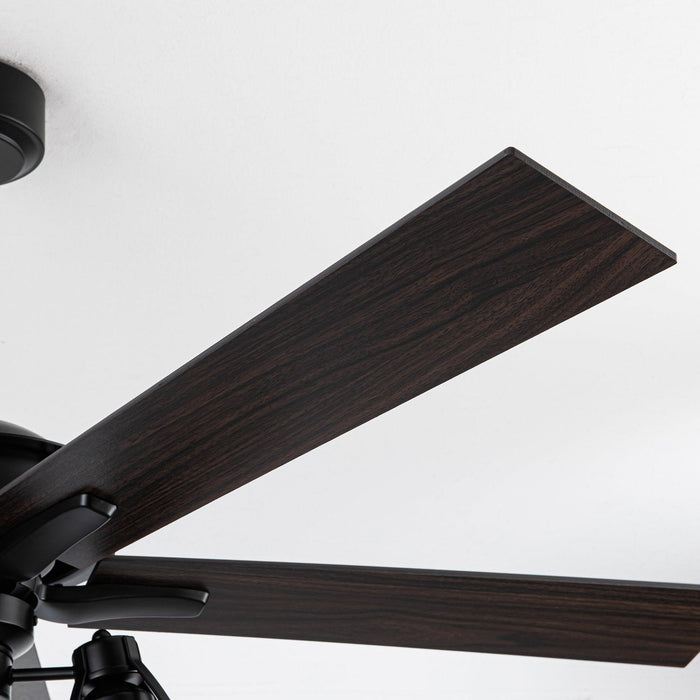52" Kashmir Traditional Downrod Mount Reversible Ceiling Fan with Lighting and Remote Control - Sweatfully