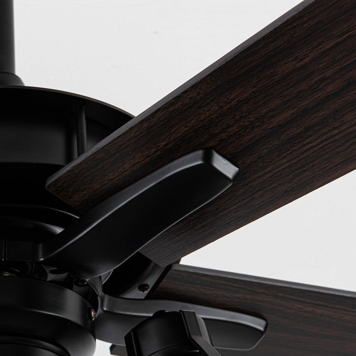 52" Kashmir Traditional Downrod Mount Reversible Ceiling Fan with Lighting and Remote Control - Sweatfully