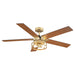 52" Prayag Industrial Downrod Mount Reversible Ceiling Fan with Lighting and Remote Control - Sweatfully