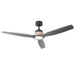 56 Inch Louise Downrod Mount LED Ceiling Fan with Remote Control - Sweatfully