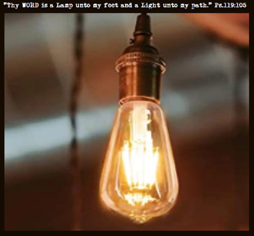 LED Edison Inspired Light Bulb Dimmable - 60 watts Equivalent - Fits NEW Mason Jar Lights - Sweatfully