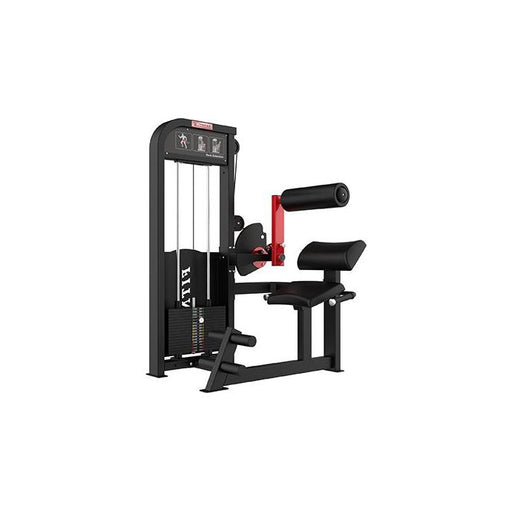 SFE Commercial Back Extension Machine with 250lb weight stacks (New) - Sweatfully