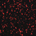 Flecks Interlocking 24 in. x 24 in. x 3/8 in. 10% Red Rubber Floor Tile 10109 (135 sq. ft.) (6-Pack) - Sweatfully