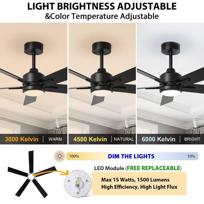 48" DC Motor 5 Blades Modern Downrod Mount Ceiling Fan - Sweatfully
