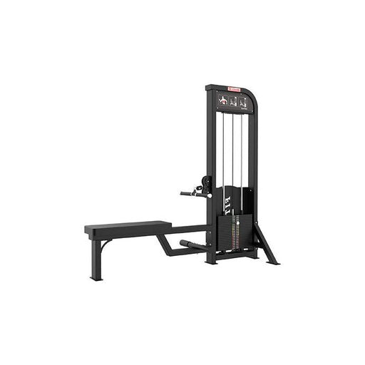 SFE Commercial Selectorized Low Row Machine (New) - Sweatfully