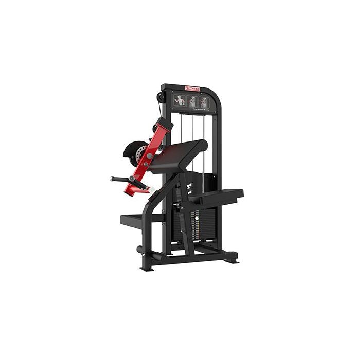 SFE Commercial Bicep & Tricep Combo Machine (New) - Sweatfully