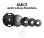 Cast Iron Weight Plate Sets - Sweatfully