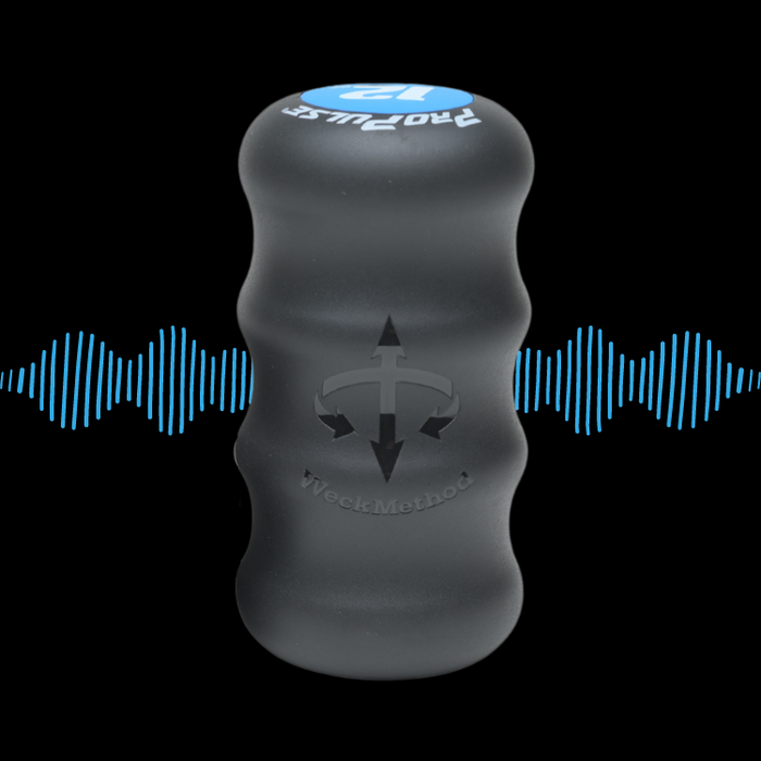 ProPulse® Speed Trainers - Sweatfully