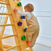 Chestnut 8-in-1 Jungle Gym for Toddlers | Indoor & Outdoor Wooden Playset - Sweatfully