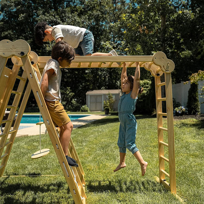 Chestnut 8-in-1 Jungle Gym for Toddlers | Indoor & Outdoor Wooden Playset - Sweatfully
