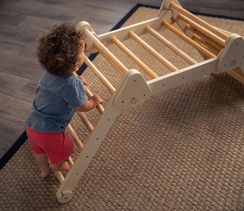 Vicus- Triangle Ladder with Ramp - Sweatfully