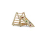 Vicus- Triangle Ladder with Ramp - Sweatfully