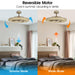 33" Modern DC Motor Crystal Ceiling Fan with Lighting and Remote Control - Sweatfully