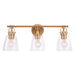 Brilliance Modern Farmhouse 3-Light Vanity Light - Sweatfully