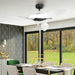 54" DC Motor 6 Speed Black Ceiling Fan - Sweatfully