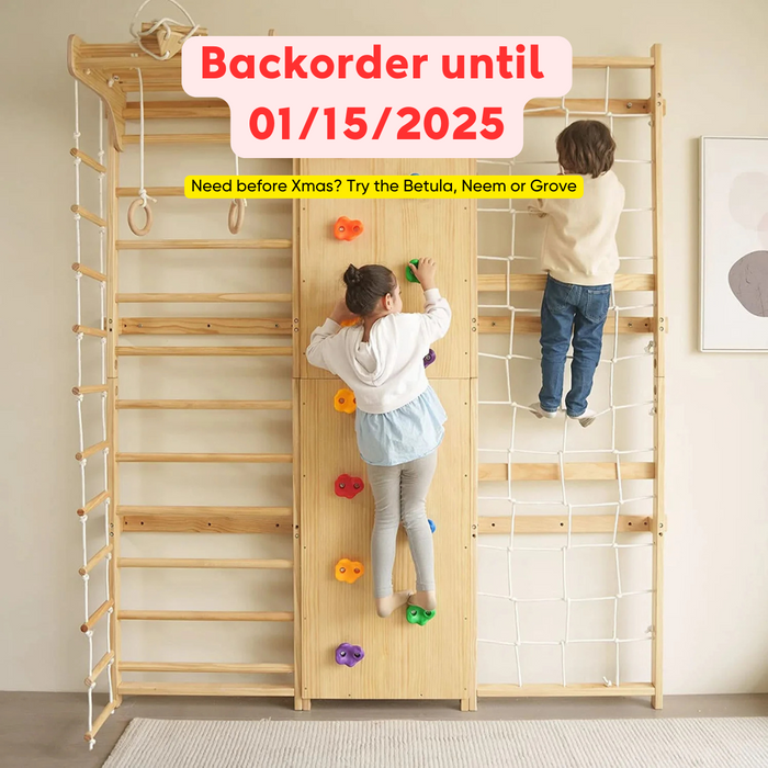 Walnut 9-in-1 Swedish Ladder Wall Gym | Indoor Wooden Climber & Activity Set for Kids - Sweatfully