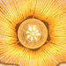 7 Inch Yves 1-Light Semi-Flush Mount Ceiling Light - Sweatfully