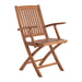 Telluride Oiled Teak Outdoor Patio Folding Chair with Arm Rests - Sweatfully