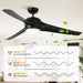 60" Wall Control 3 Blades Black Ceiling Fan with LED Lighting - Sweatfully