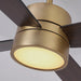 52 Inch Bucholz Industrial Dimmable RGB LED Ceiling Fan with Remote and APP Control - Sweatfully