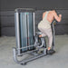 Elite Plus Glute Blaster | Commercial Gym Equipment - Sweatfully