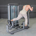 Elite Plus Glute Blaster | Commercial Gym Equipment - Sweatfully