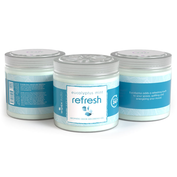 Wipex® Studio Smokeless Natural Odor Eliminator for Yoga & Wellness Spaces - Sweatfully