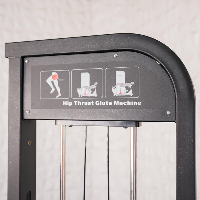 Excel Selectorized Hip Thrust Glute - Muscle D Fitness - Selectorized Glute Drive - Band Compatable - Sweatfully