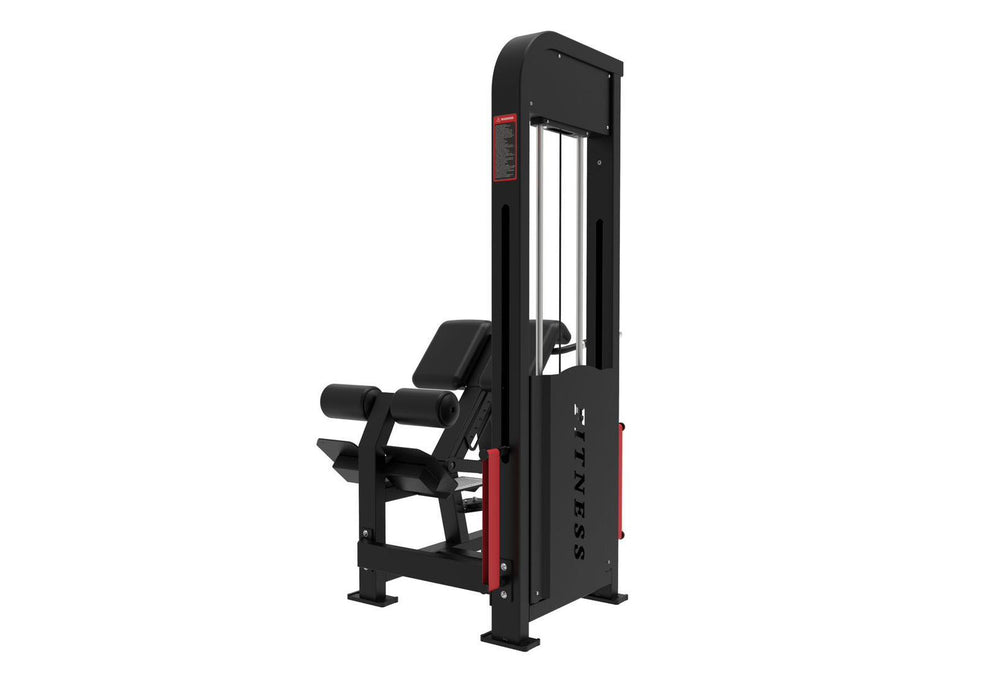 Excel Loaded Back Extension - Muscle D Fitness - Selectorized 45 Degree Hyper Extension - Band Compatable - Sweatfully