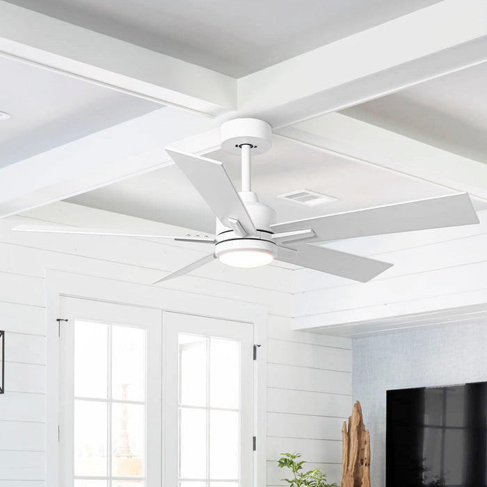 48" DC Motor 5 Blades Modern Downrod Mount Ceiling Fan - Sweatfully