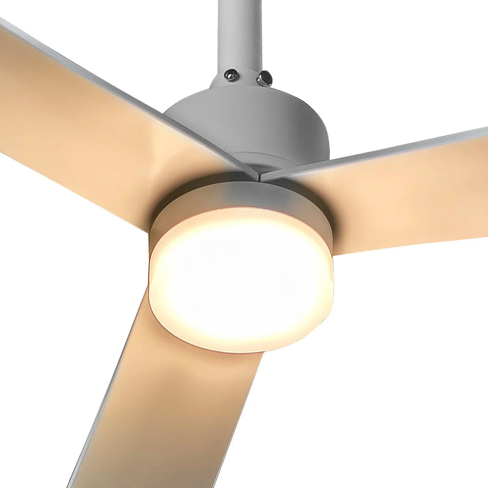 50 Inch Rae Modern Downrod Mount LED Ceiling Fan with Remote Control - Sweatfully