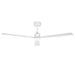 50 Inch Rae Modern Downrod Mount LED Ceiling Fan with Remote Control - Sweatfully