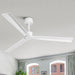 50 Inch Erica Modern Downrod Mount Ceiling Fan with Remote Control - Sweatfully