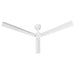 50 Inch Erica Modern Downrod Mount Ceiling Fan with Remote Control - Sweatfully