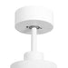 52 Inch Bernice DC Motor Industrial Downrod Ceiling Fan with LED Light and Remote Control - Sweatfully
