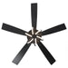 52 Inch Levi Double-sided Blades Downrod Mount LED Ceiling Fan with Remote Control - Sweatfully