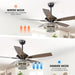52" Howell Modern Downrod Mount Reversible Crystal Ceiling Fan with Lighting and Remote Control - Sweatfully