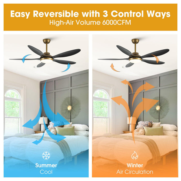 52" Punjab Smart Fan with LED Light - Sweatfully