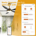 52" Punjab Smart Fan with LED Light - Sweatfully