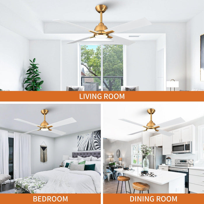 48" Linden DC Motor Downrod Mount Reversible Ceiling Fan with Lighting and Remote Control - Sweatfully