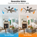 60" DC Motor 8 Blades Modern Downrod Mount Ceiling Fan with LED Light and Remote Control - Sweatfully