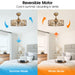 22" Kashmir Modern Glod Reversible Crystal Fandelier Ceiling Fan with Lighting and Remote Control - Sweatfully