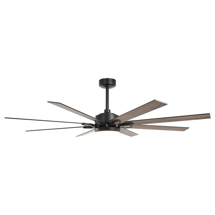 65 Inch Teresa Modern Double-sided Blades Ceiling Fan with Remote Control and LED Light - Sweatfully