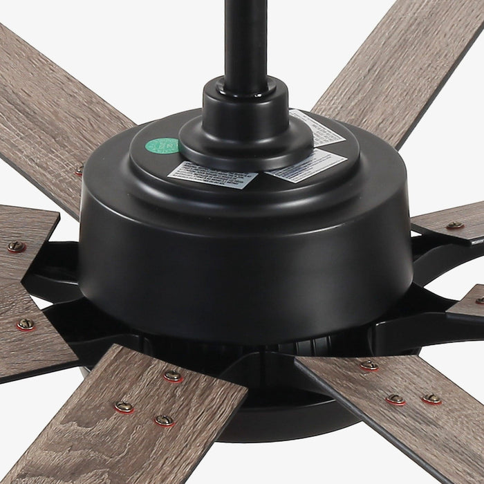 65 Inch Teresa Modern Double-sided Blades Ceiling Fan with Remote Control and LED Light - Sweatfully