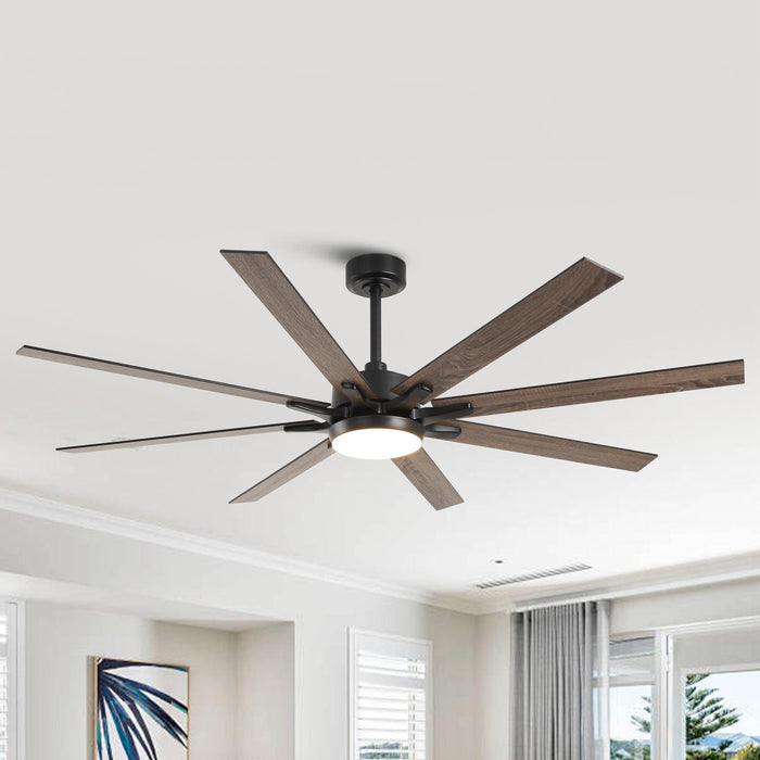 65 Inch Teresa Modern Double-sided Blades Ceiling Fan with Remote Control and LED Light - Sweatfully