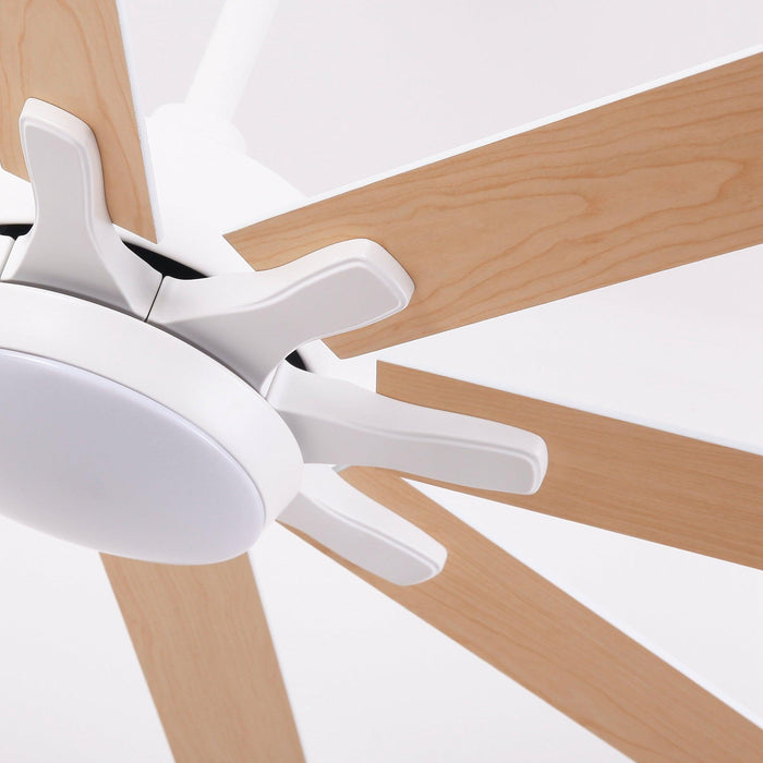 65 Inch Teresa Modern Double-sided Blades Ceiling Fan with Remote Control and LED Light - Sweatfully