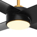 60" Parvez Modern DC Motor Downrod Mount Reversible Ceiling Fan with Lighting and Remote Control - Sweatfully