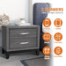 Furniture of America Lucien Modern Wood Nightstand with 2 Drawers - Sweatfully