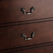 Transitional 5-Drawer 31.5 in. Wide Chest of Drawers with Bracket Feet - Sweatfully