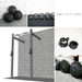TGrip Commercial 4' Wall Mount Rig Weight Set - 3x3 Steel - Functional Multi-Grip Pull-Up - Sandwich Style J-Hooks - Sweatfully